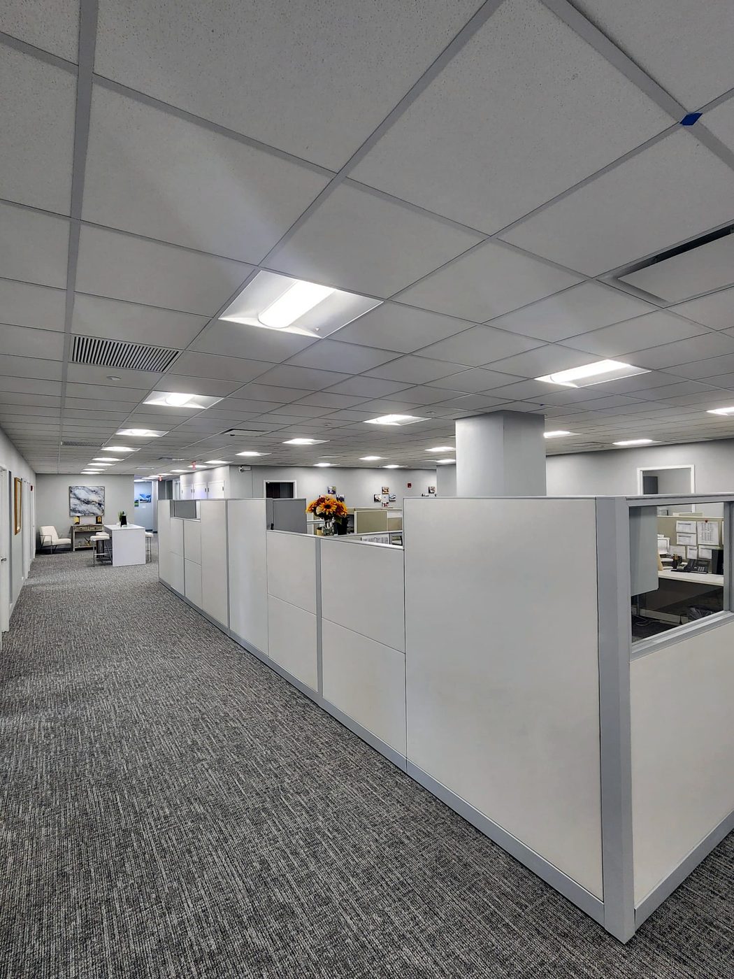 Finished commercial office floor with new lighting and cubicles